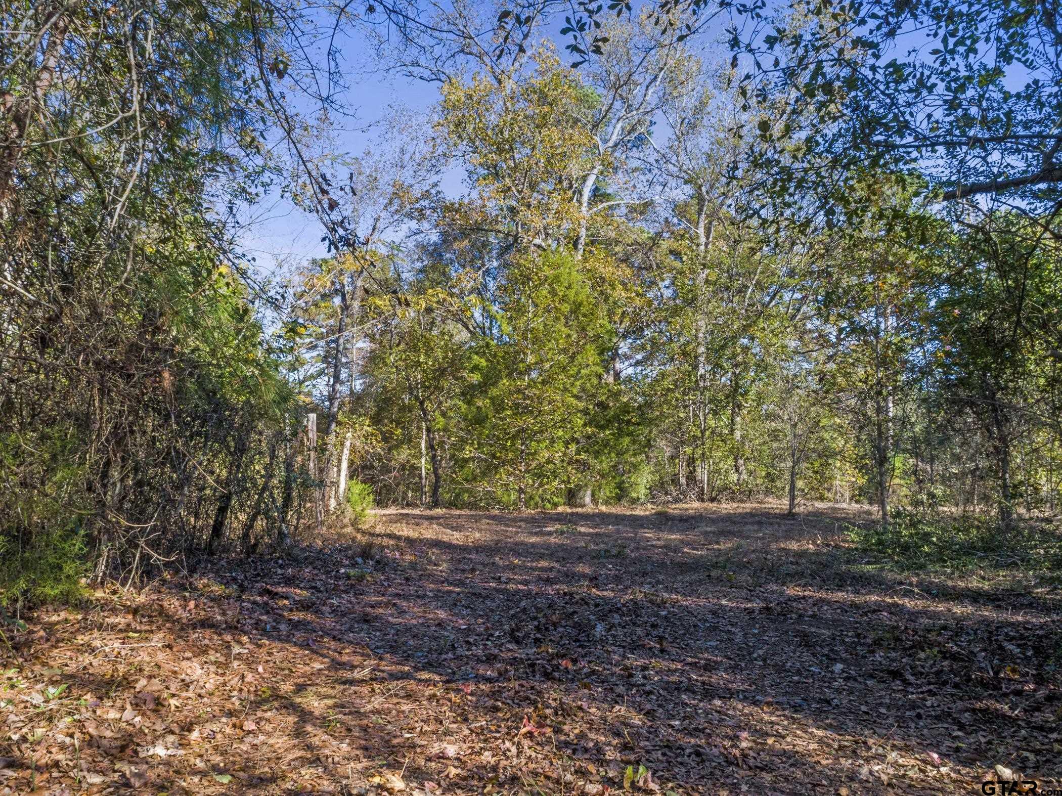 396 Tyler Tx 75708 Tyler, TX 75708 - Photo 9 of 16 a view of backyard with green space