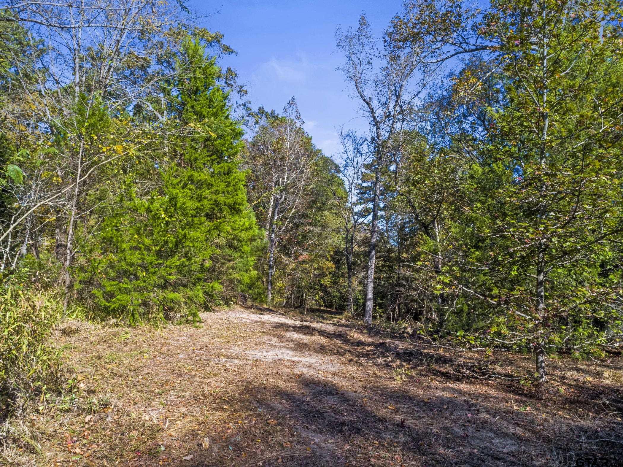 396 Tyler Tx 75708 Tyler, TX 75708 - Photo 10 of 16 a view of a forest with trees