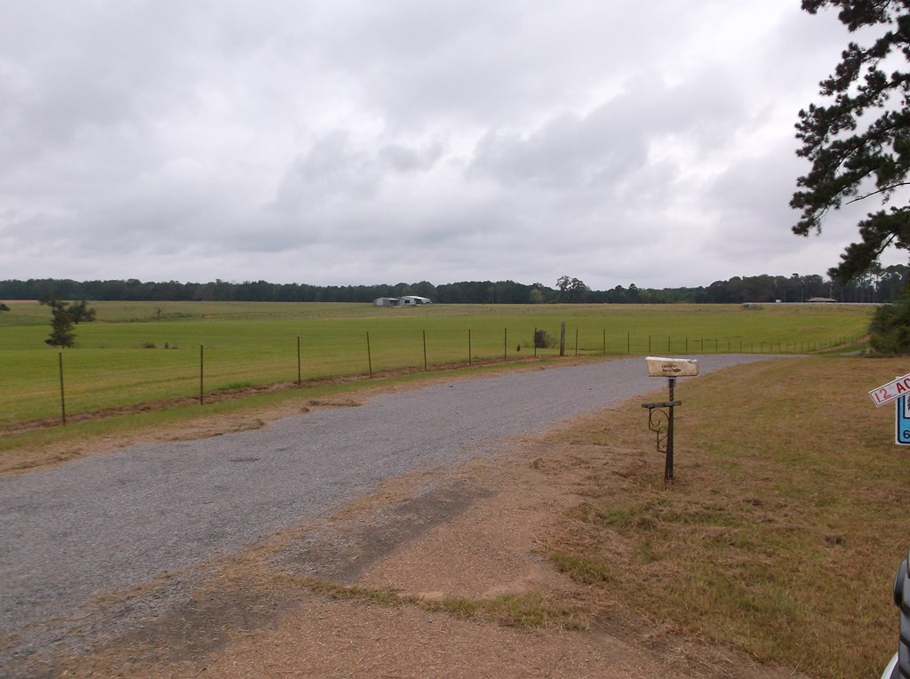 5218 Barron Road Summit, MS 39666 - Photo 18 of 18 street view at mailbox