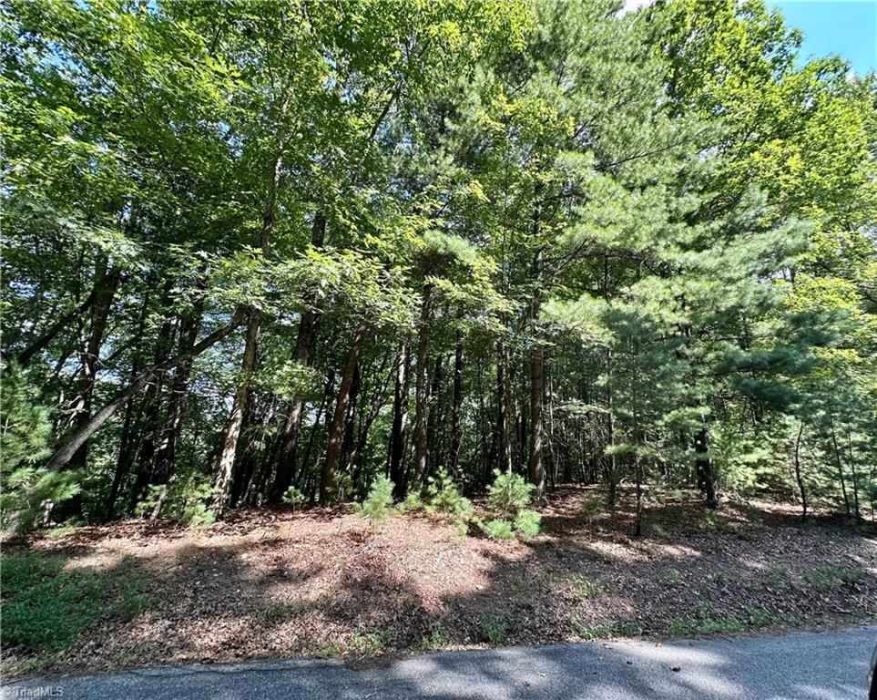 Lot 2 Sutter's Ridge Road McGrady, NC 28649 - Photo 3 of 14 Gallery Image 3