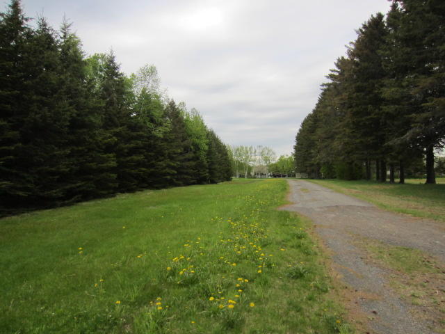 661 Lake Shore Road St. David, ME 04773 - Photo 14 of 15 IMG_5030