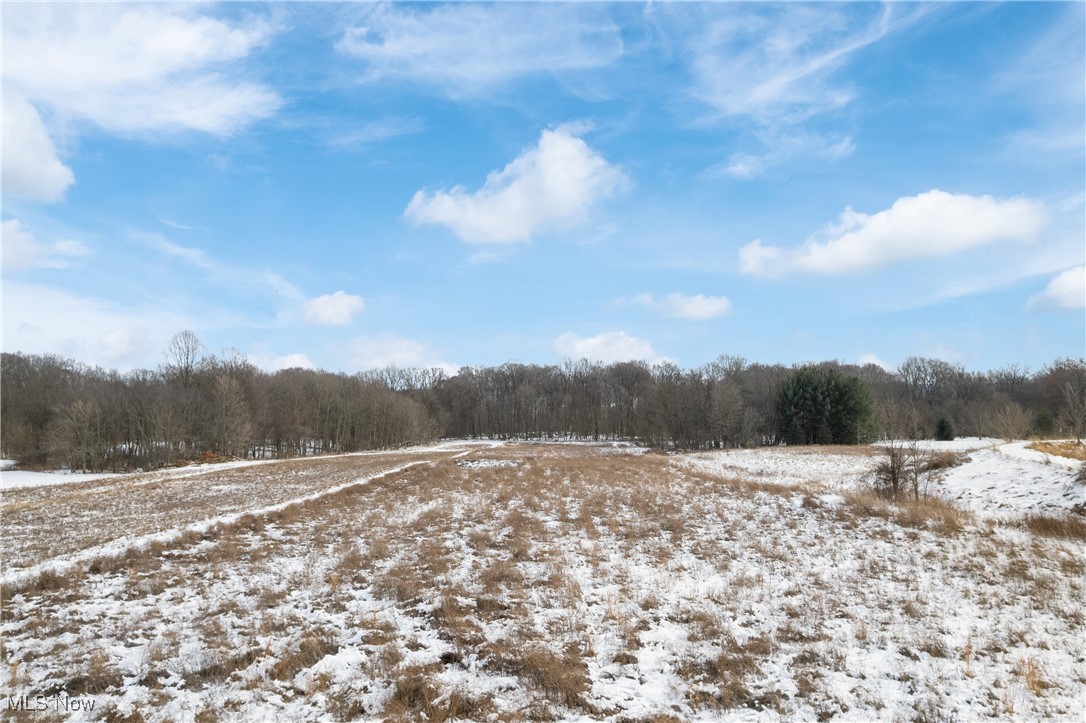 8101 Yoder Road Seville, OH 44273 - Photo 30 of 32 Gallery Image 30
