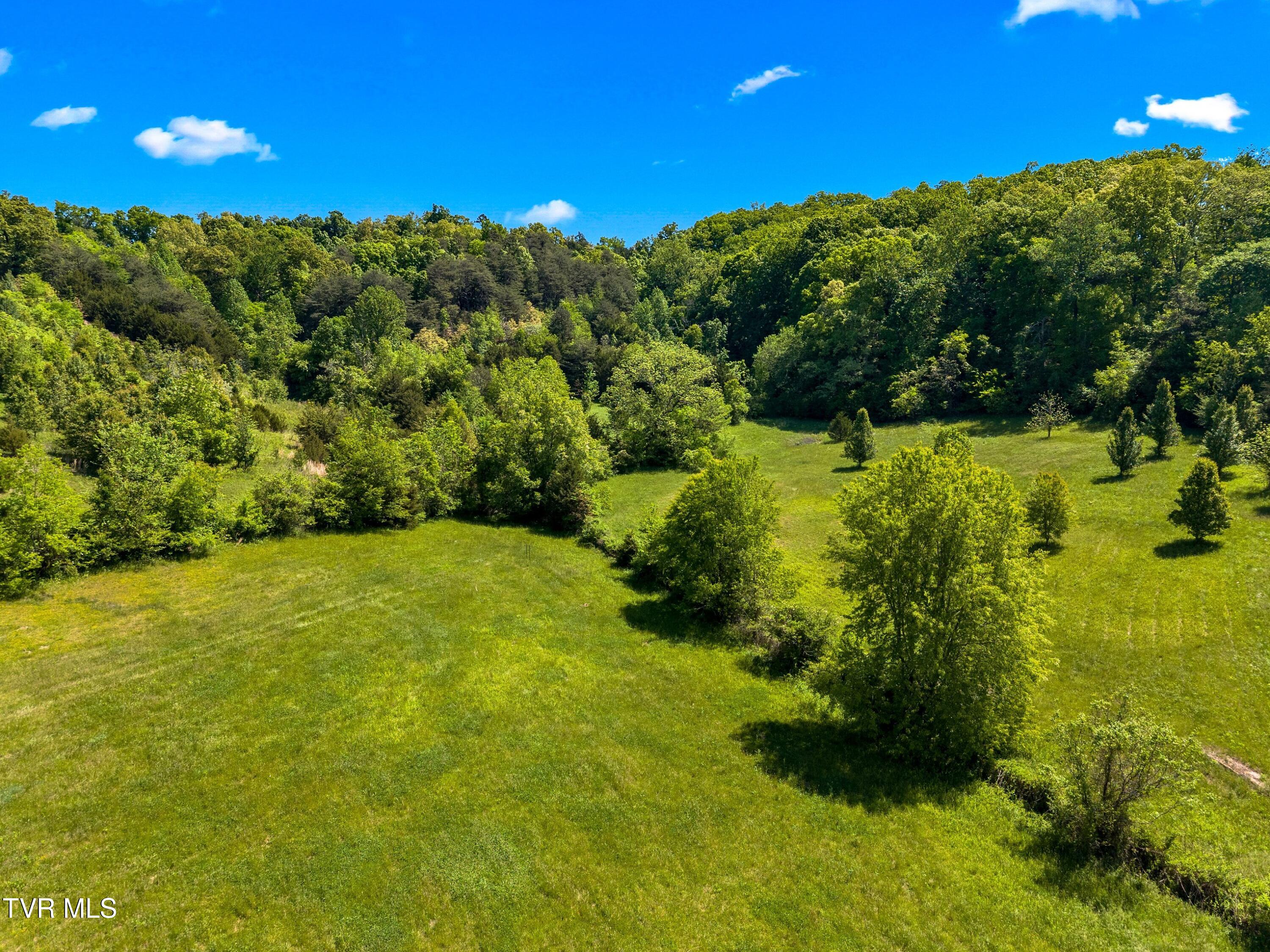 Tbd Anderson Bend Road Russellville, TN 37860 - Photo 19 of 34 040-2114AndersonBendRoad-Russellville-TN