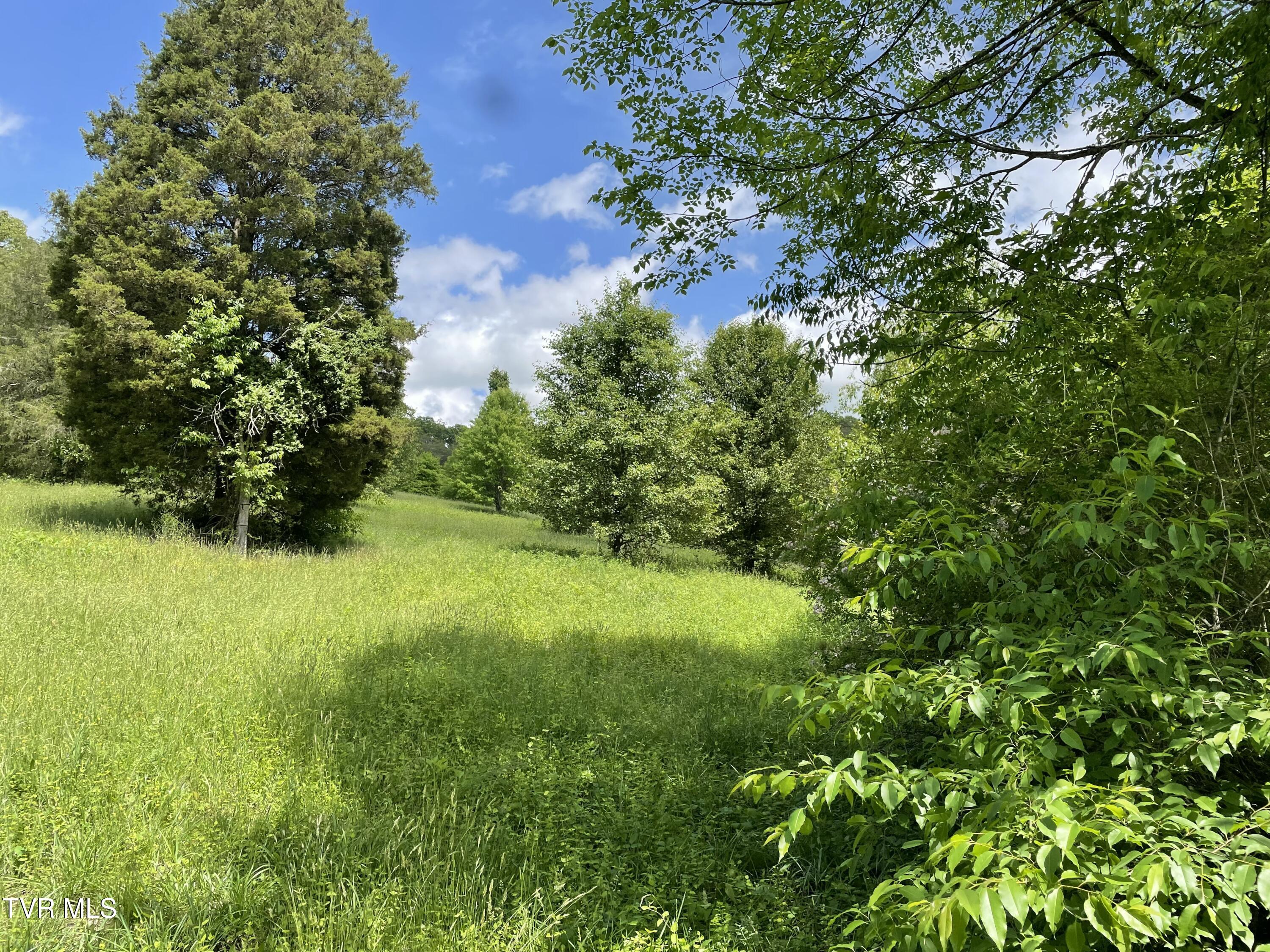 Tbd Anderson Bend Road Russellville, TN 37860 - Photo 2 of 34 IMG_9892