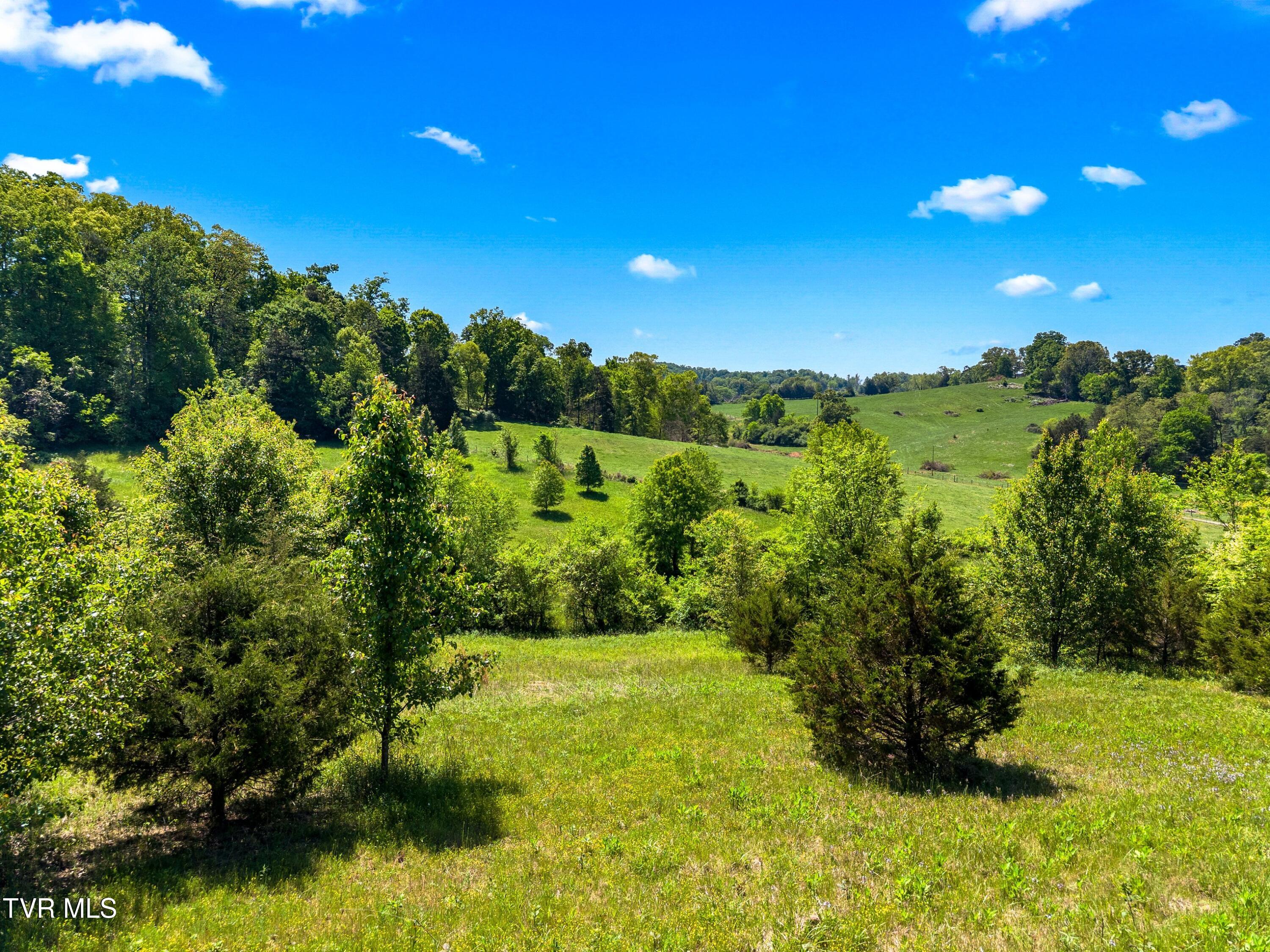 Tbd Anderson Bend Road Russellville, TN 37860 - Photo 21 of 34 042-2114AndersonBendRoad-Russellville-TN