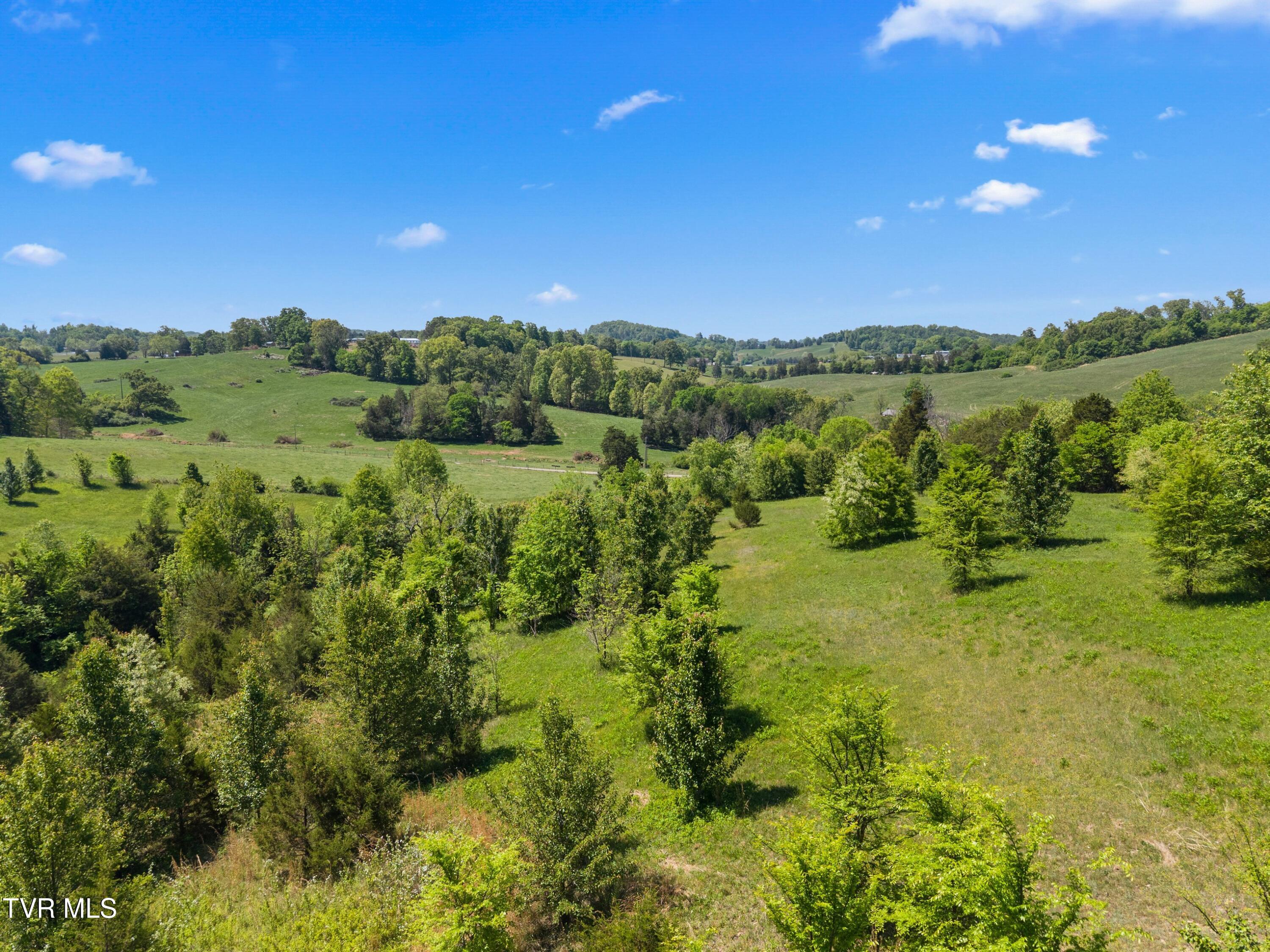 Tbd Anderson Bend Road Russellville, TN 37860 - Photo 22 of 34 043-2114AndersonBendRoad-Russellville-TN