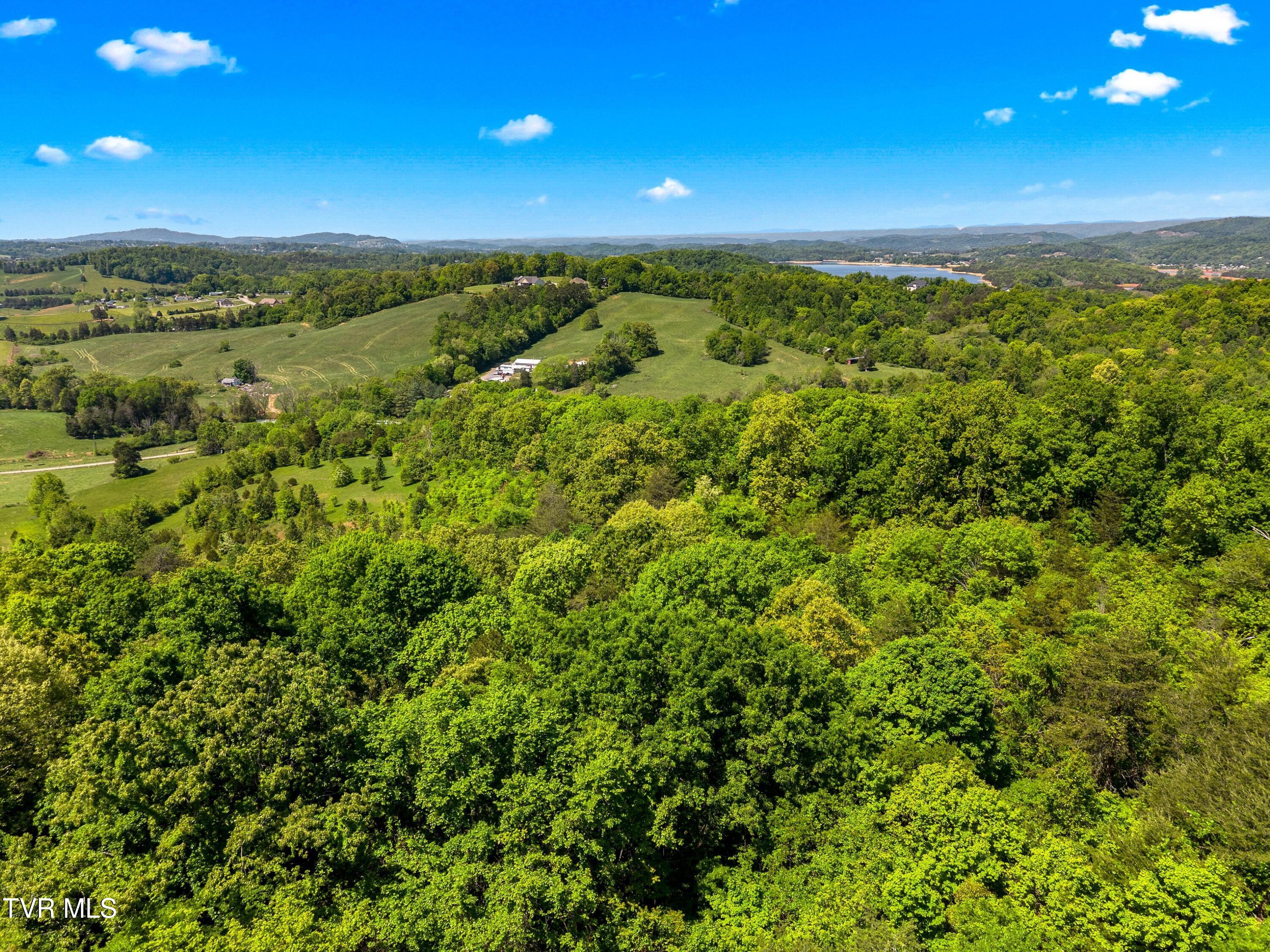 Tbd Anderson Bend Road Russellville, TN 37860 - Photo 24 of 34 047-2114AndersonBendRoad-Russellville-TN