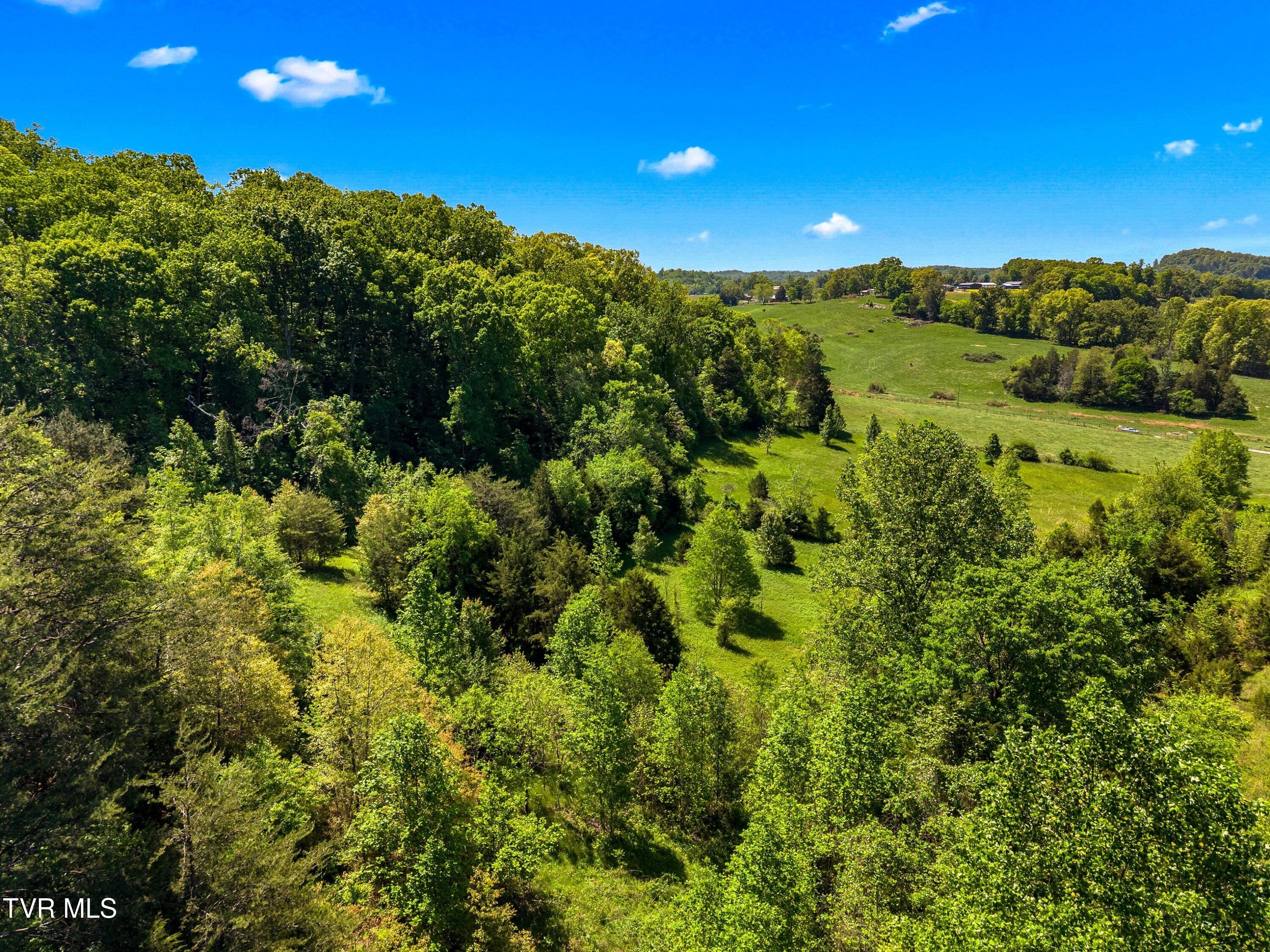 Tbd Anderson Bend Road Russellville, TN 37860 - Photo 26 of 34 049-2114AndersonBendRoad-Russellville-TN