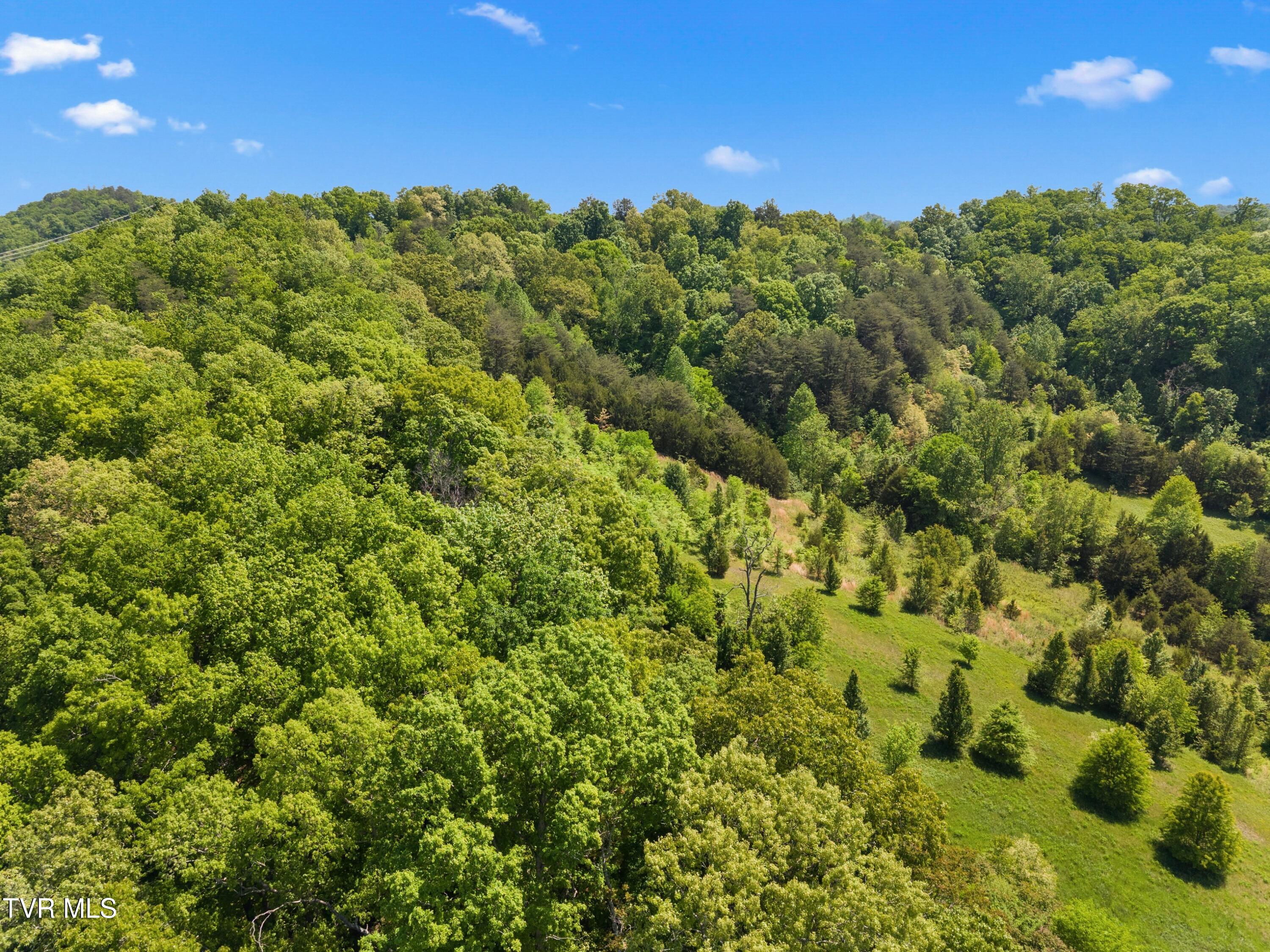 Tbd Anderson Bend Road Russellville, TN 37860 - Photo 34 of 34 057-2114AndersonBendRoad-Russellville-TN