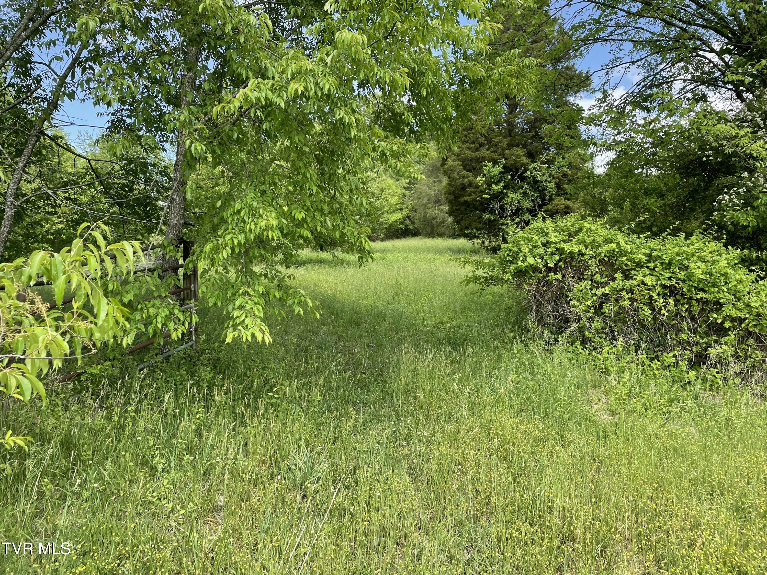 Tbd Anderson Bend Road Russellville, TN 37860 - Photo 5 of 34 IMG_9889