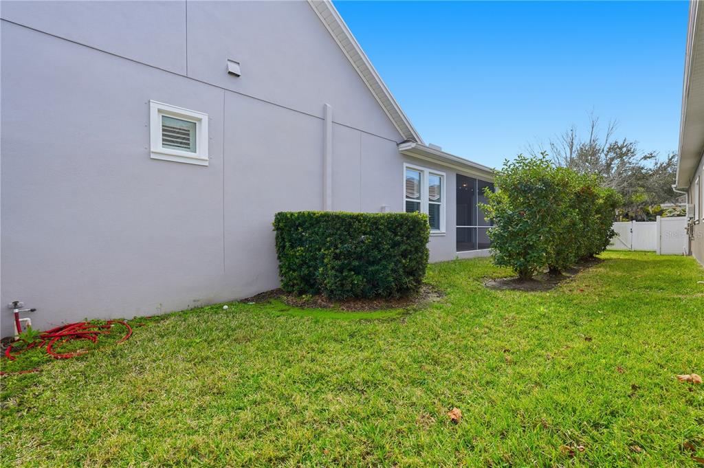 10444 Marsha Drive New Port Richey, FL 34655 - Photo 33 of 37