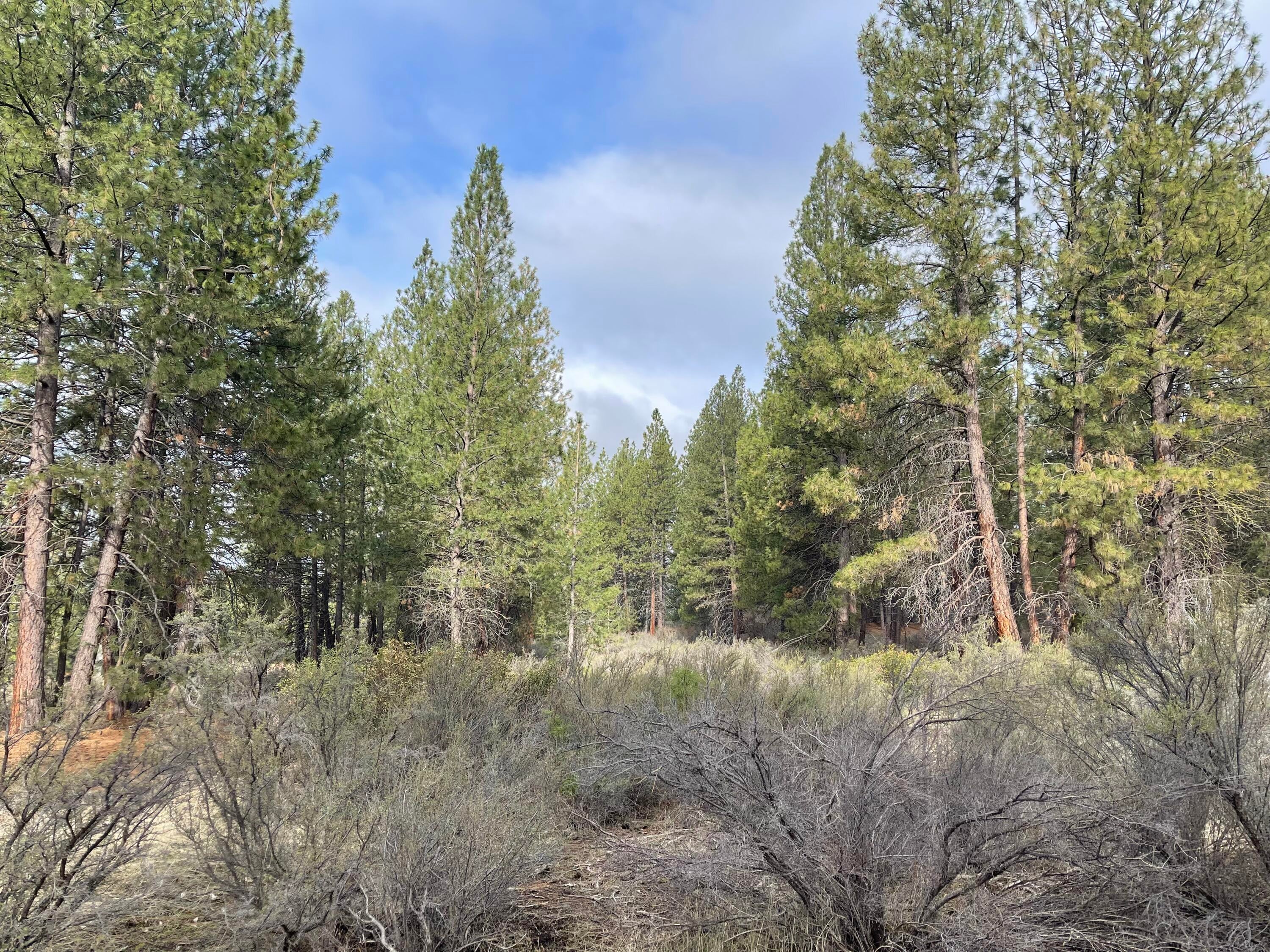 South Waterview Way Chiloquin, OR 97624 - Photo 6 of 10 IMG_7453