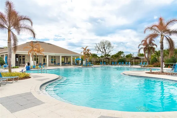 a view of a swimming pool with lawn chairs and plants
