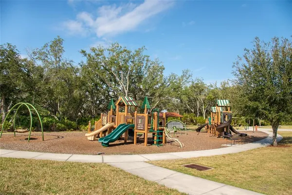 a view of a park with palm trees