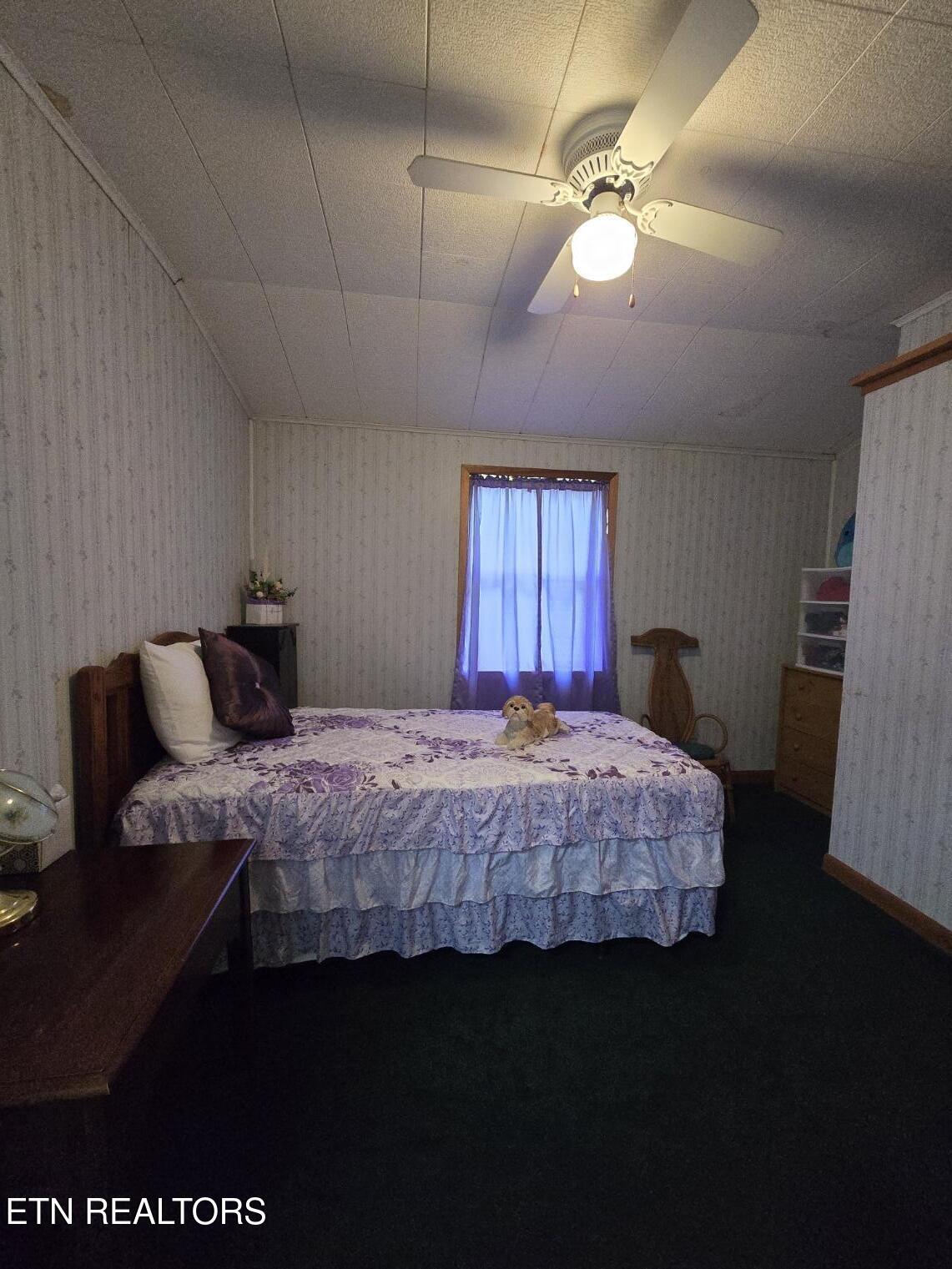 142 Norma Road Huntsville, TN 37756 - Photo 26 of 36 20250915_171539