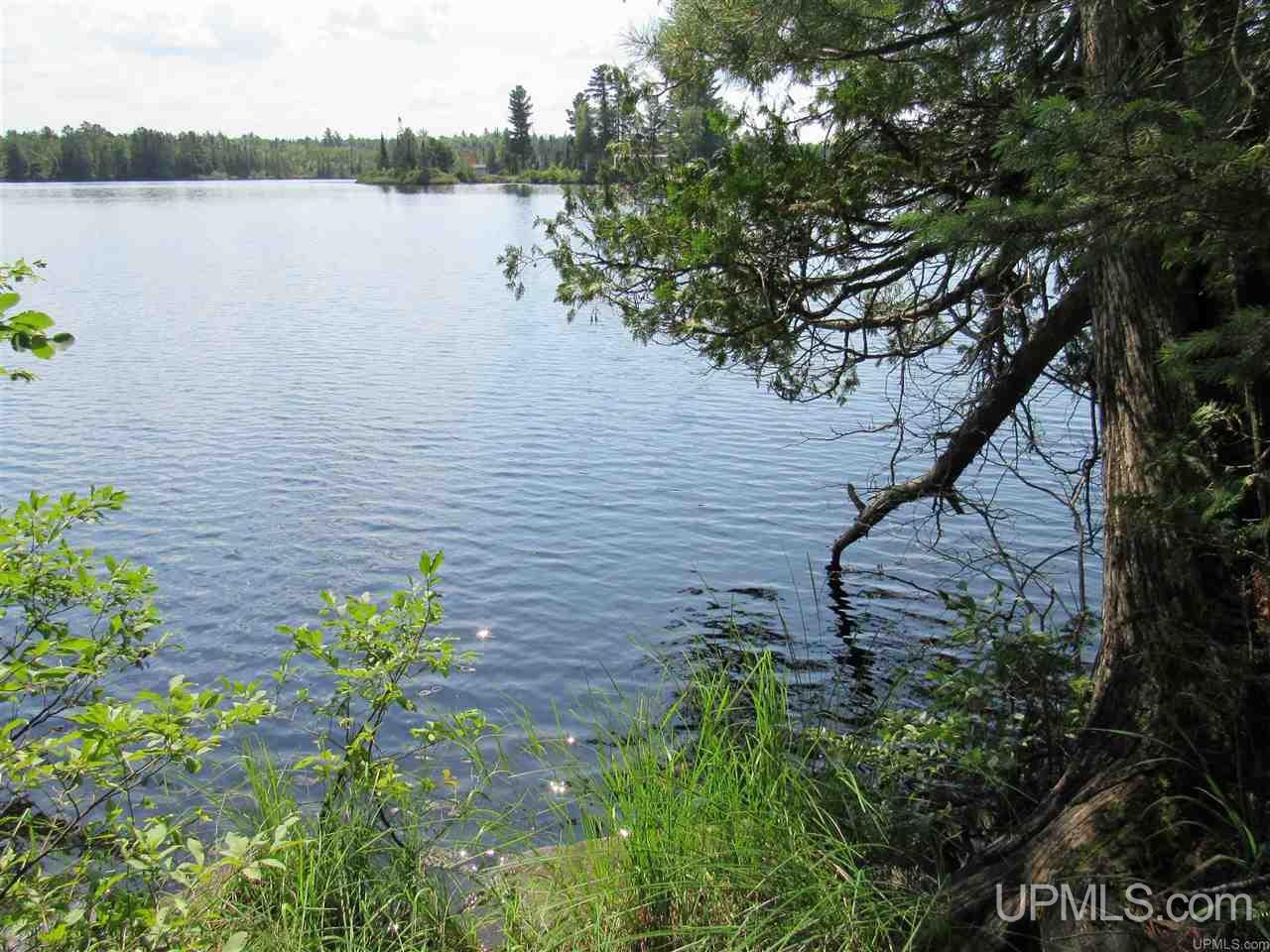 Tbd Berry Road Michigamme, MI 49861 - Photo 2 of 17