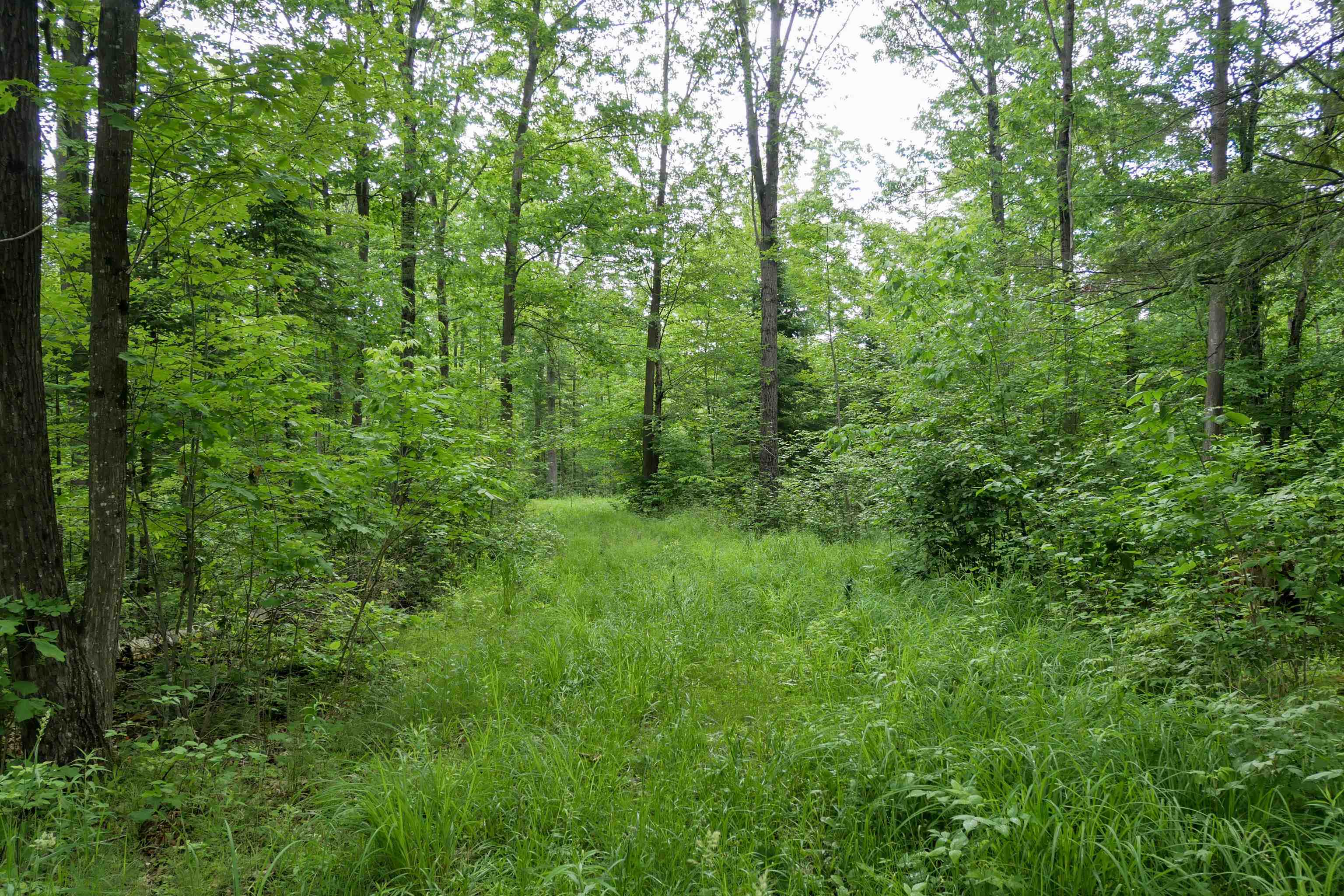 W2175 County Rd M Rib Lake, WI 54470 - Photo 26 of 31