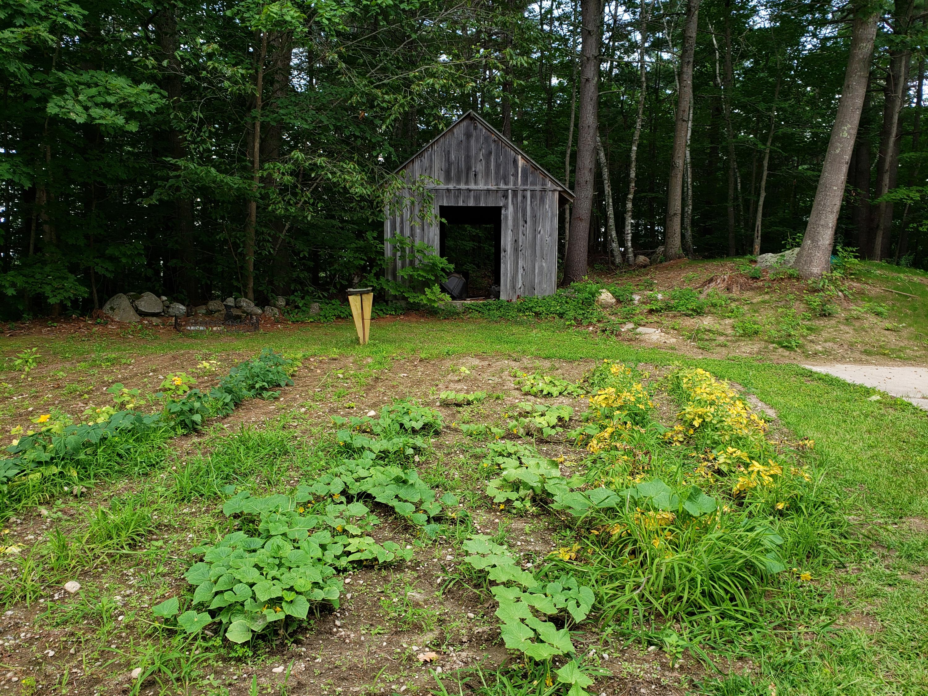 47 Middle Road Sabattus, ME 04280 - Photo 35 of 38 20210808_110503