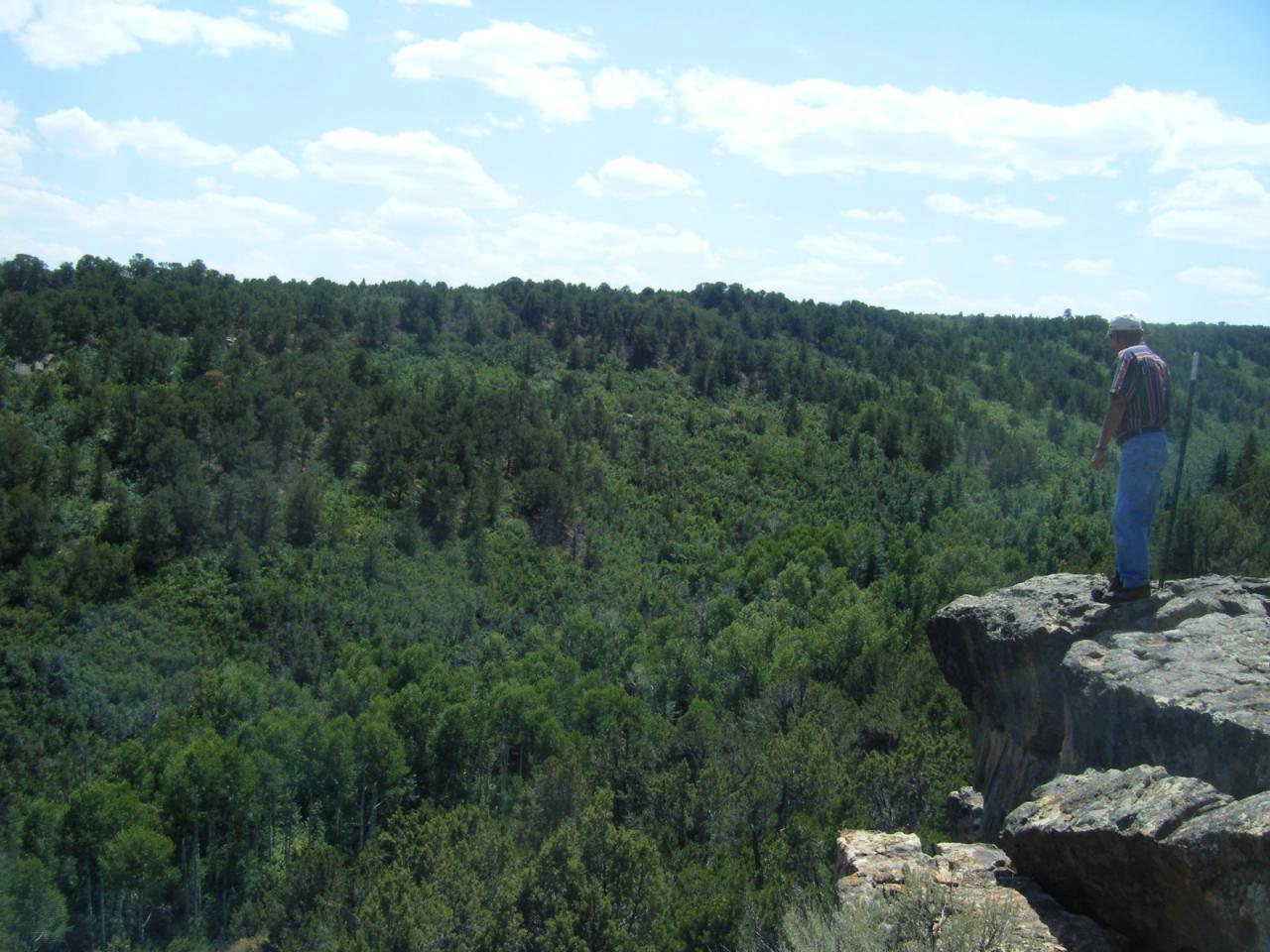 View to Southeast