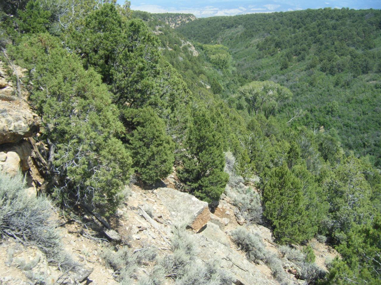 Cabin spot-recreational property