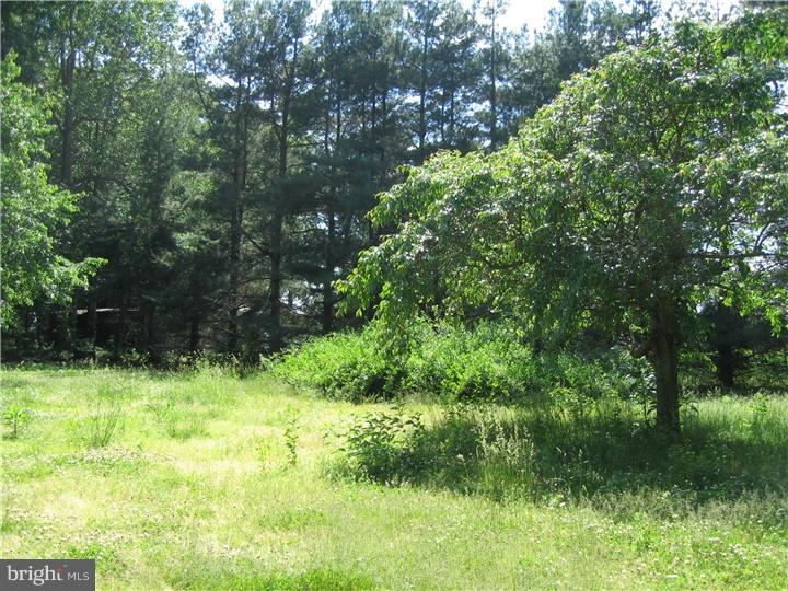 490 Skeeter Neck Road Frederica, DE 19946 - Photo 22 of 25 Gallery Image 22