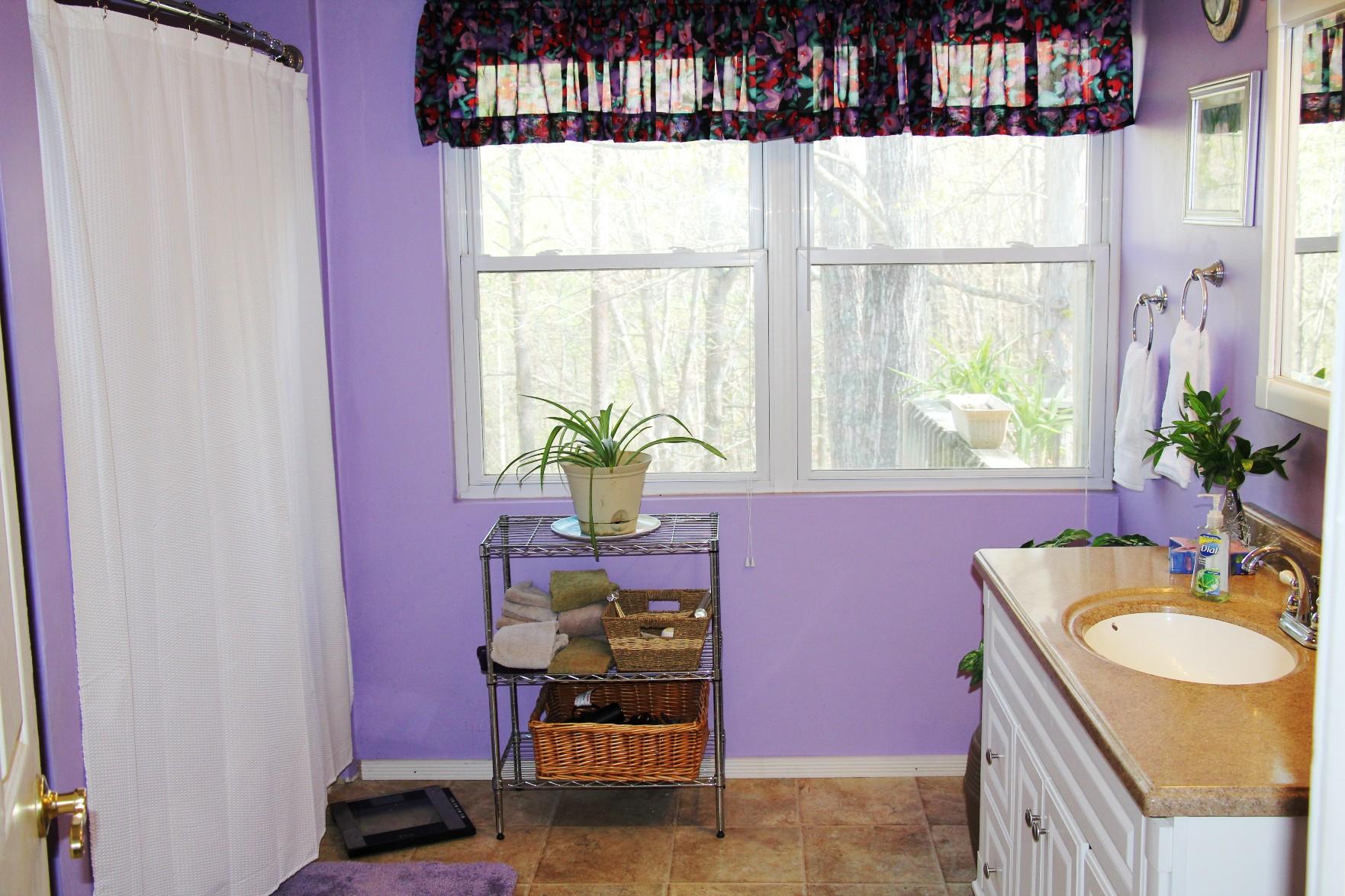 3077 Timber Ridge Buchanan, VA 24066 - Photo 20 of 53 20-7336