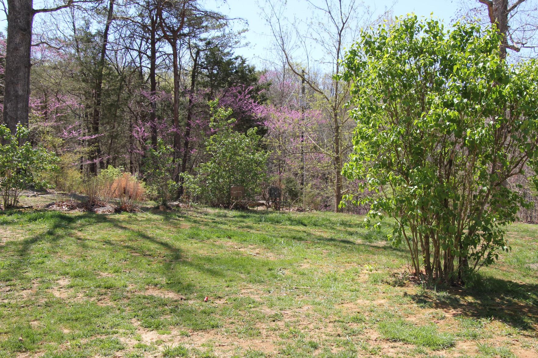 3077 Timber Ridge Buchanan, VA 24066 - Photo 50 of 53 50-7309