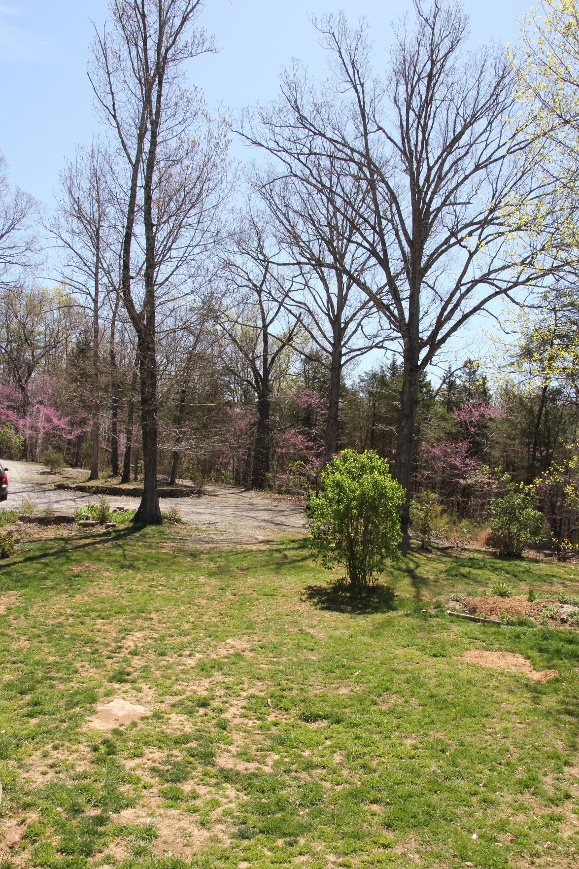 3077 Timber Ridge Buchanan, VA 24066 - Photo 51 of 53 51-7311