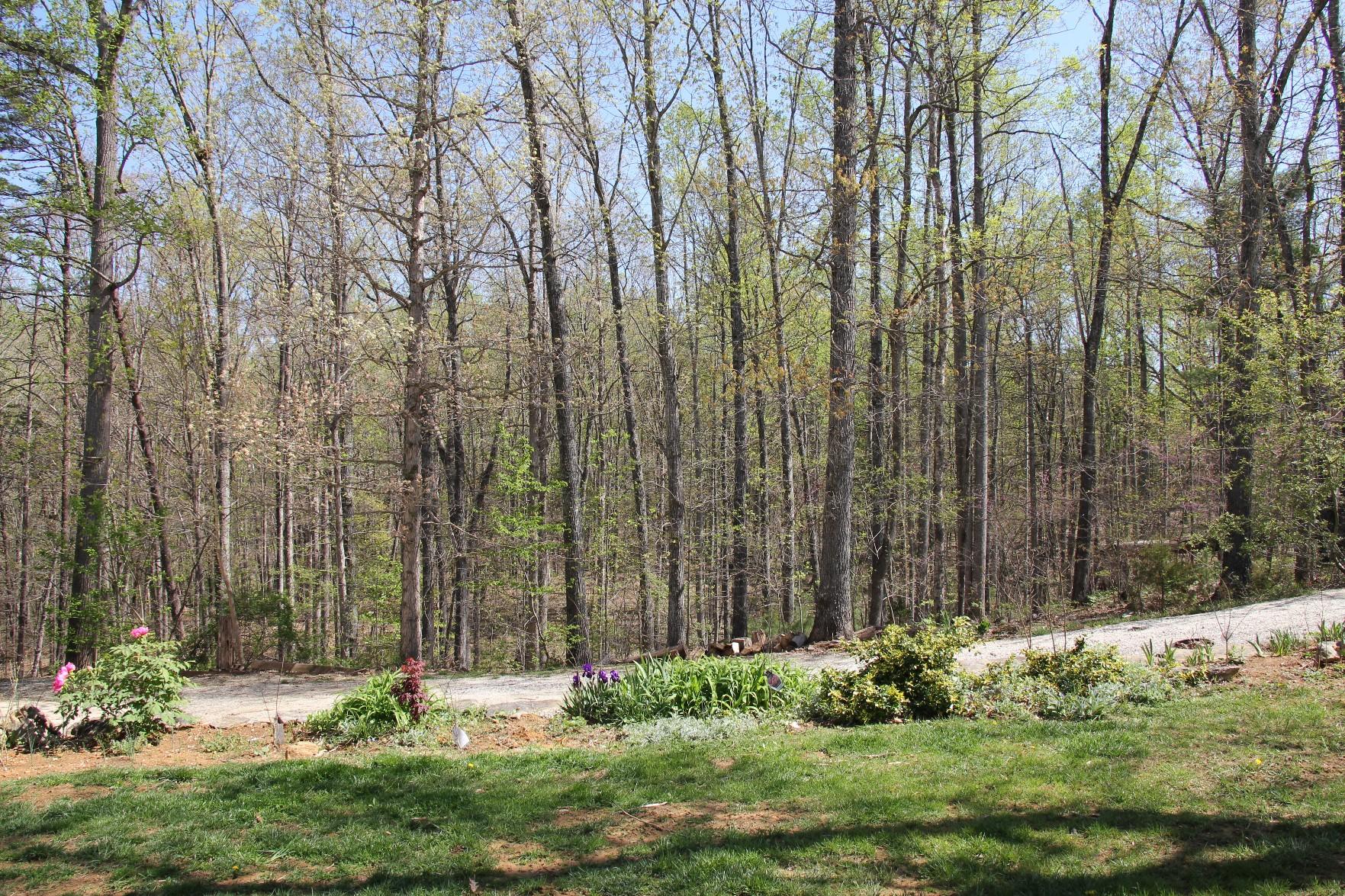 3077 Timber Ridge Buchanan, VA 24066 - Photo 52 of 53 52-7389