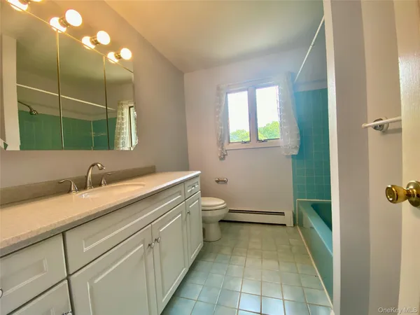 a bathroom with a sink a toilet and mirror