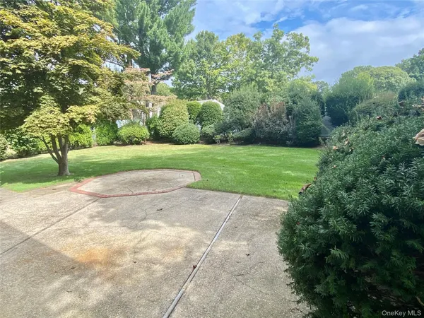 a view of a park with large trees