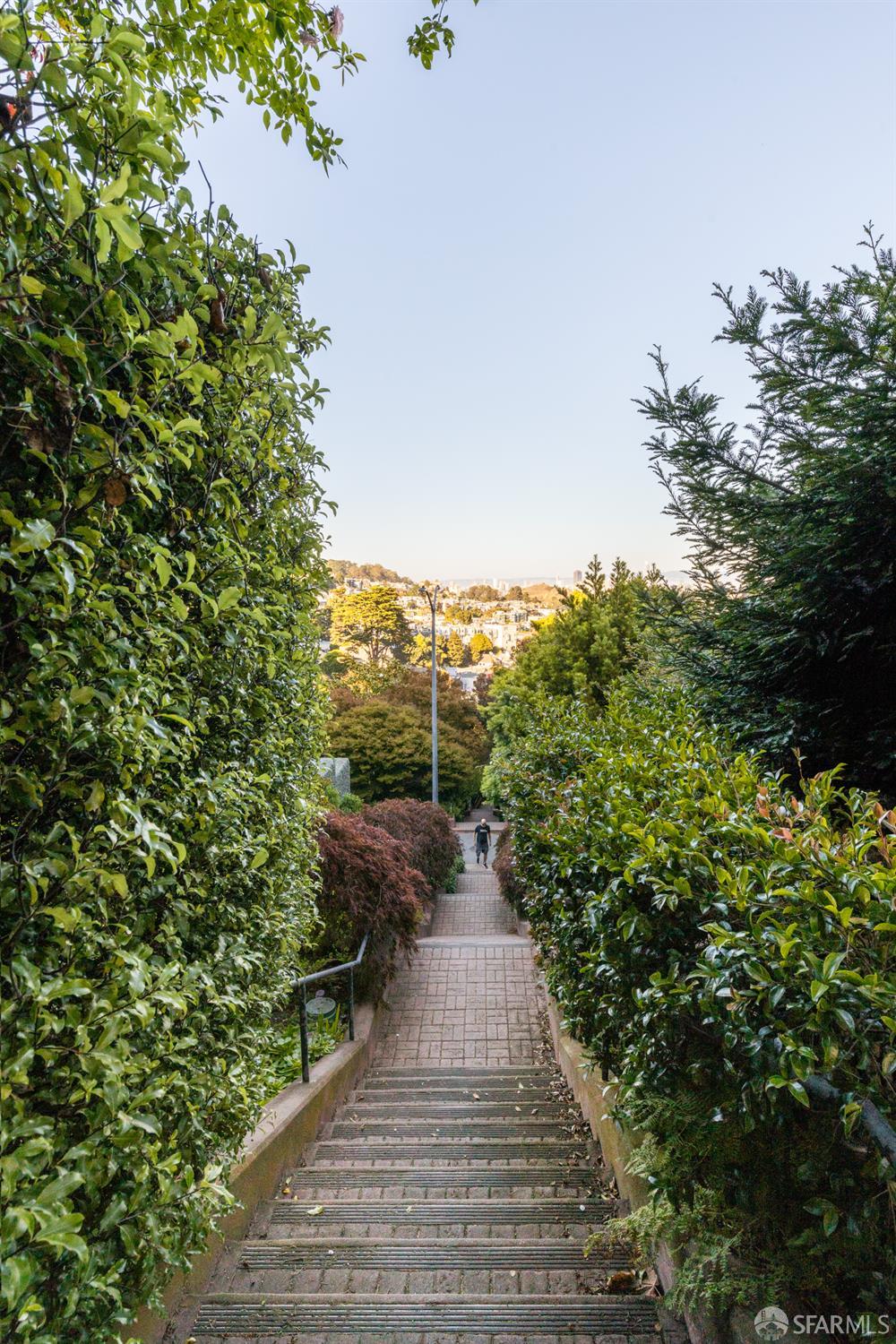 101 Graystone Terrace San Francisco, CA 94114 - Photo 62 of 72 a view of a pathway with a yard
