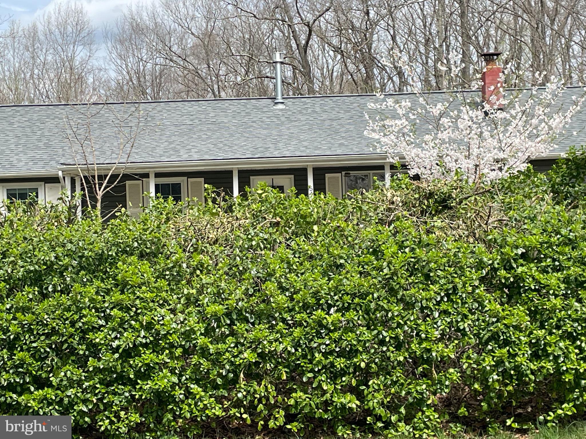 New Roof