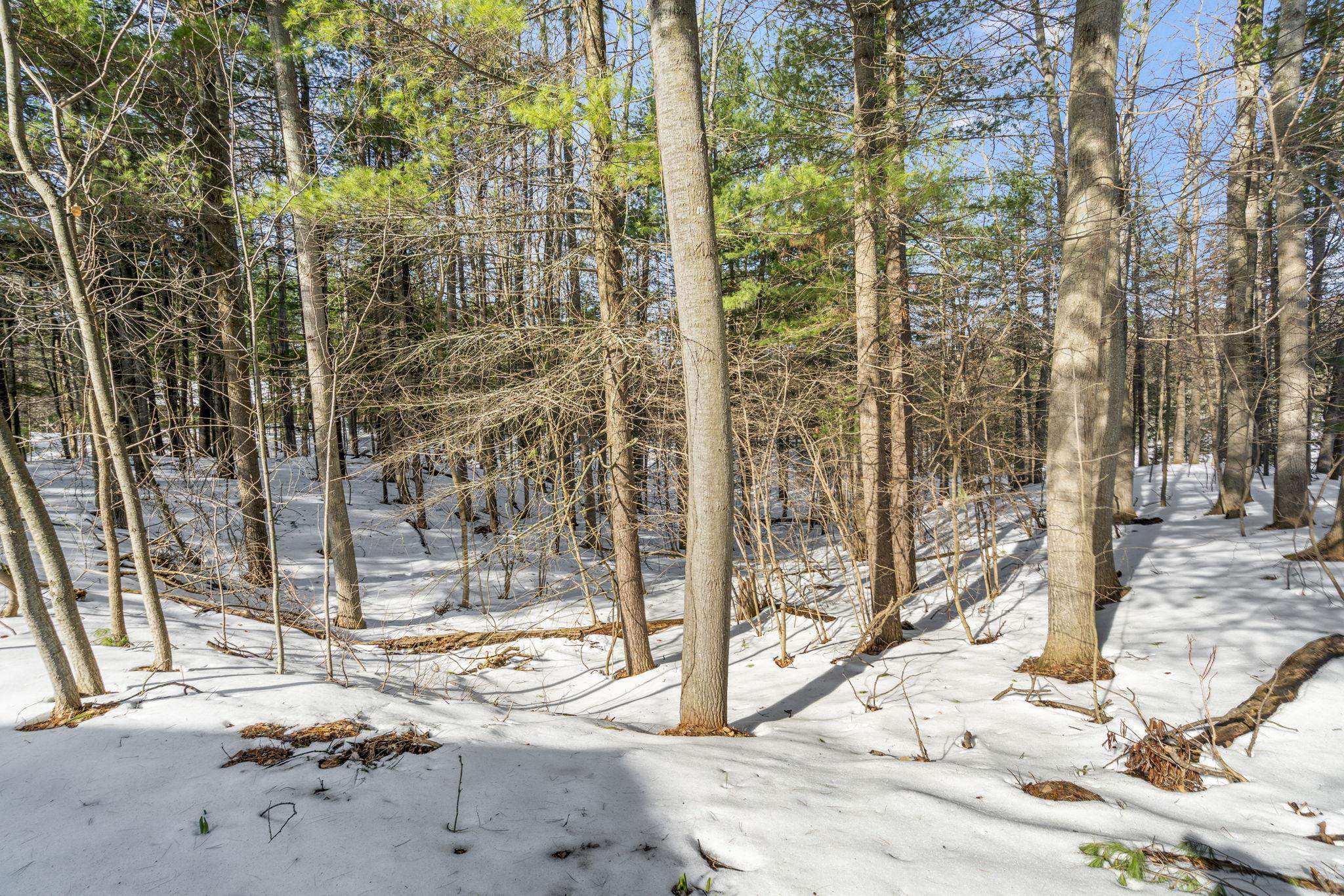 6475 Mission Ridge Traverse City, MI 49686 - Photo 46 of 56