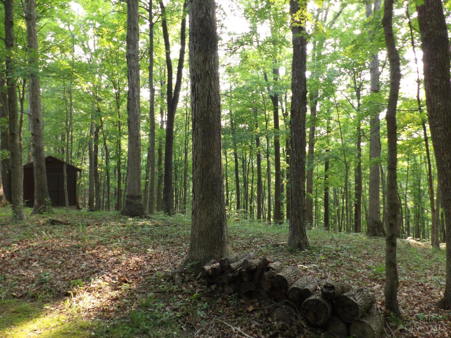 333 Winding Trail Road West Union, OH 45693 - Photo 20 of 25