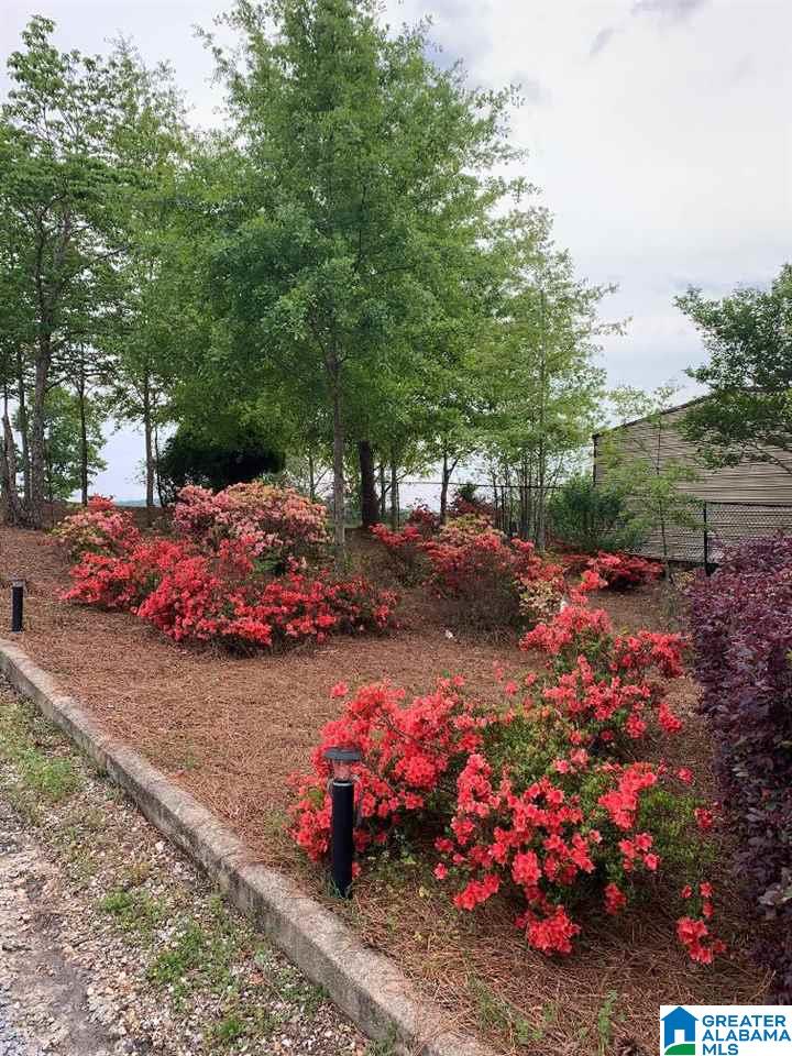 116 Lock 1 Road Ashville, AL 35953 - Photo 49 of 50