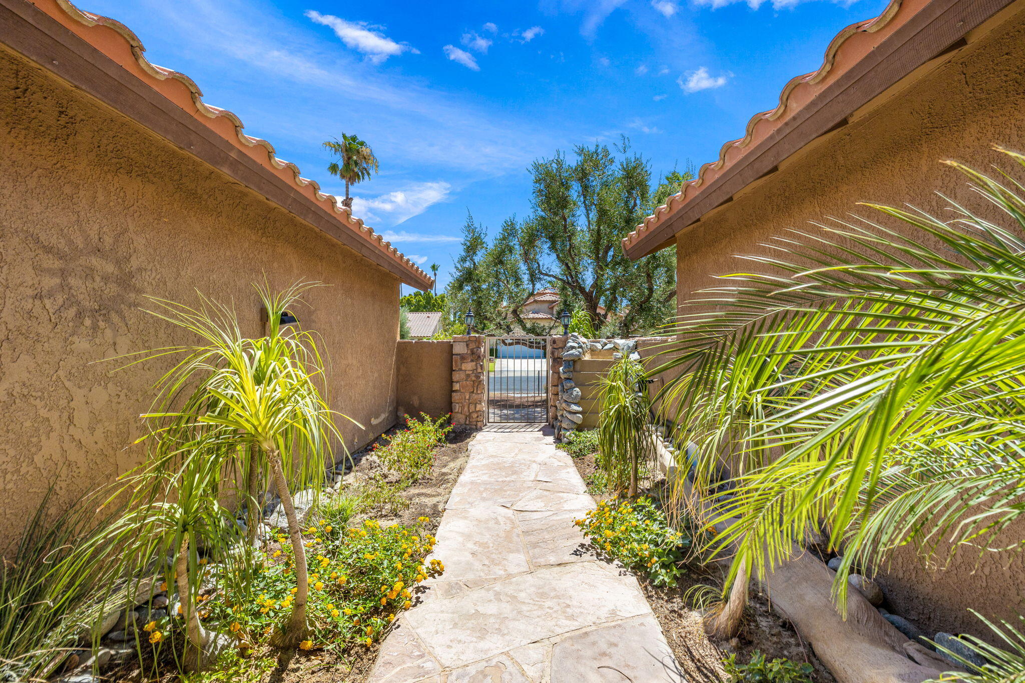 39495 Regency Way Palm Desert, CA 92211 - Photo 47 of 55 a view of a pathway with a flower in a garden
