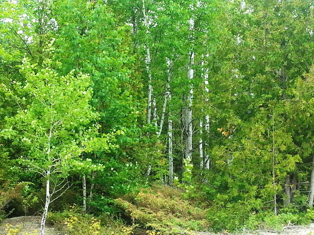 T/b/d Plant Road Sister Bay, WI 54234 - Photo 1 of 1