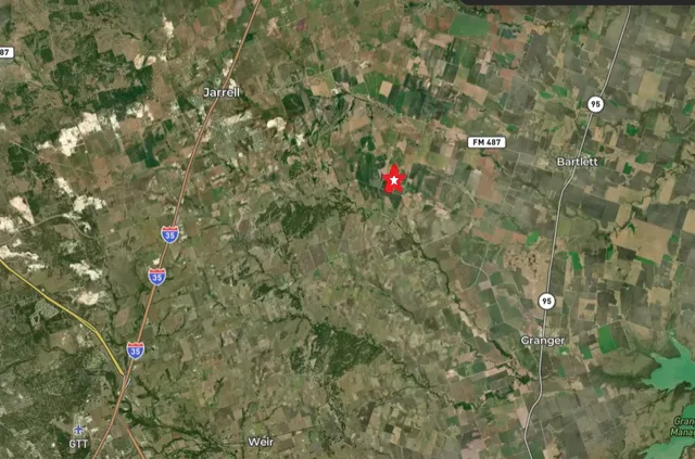 a view of a tree in a yard