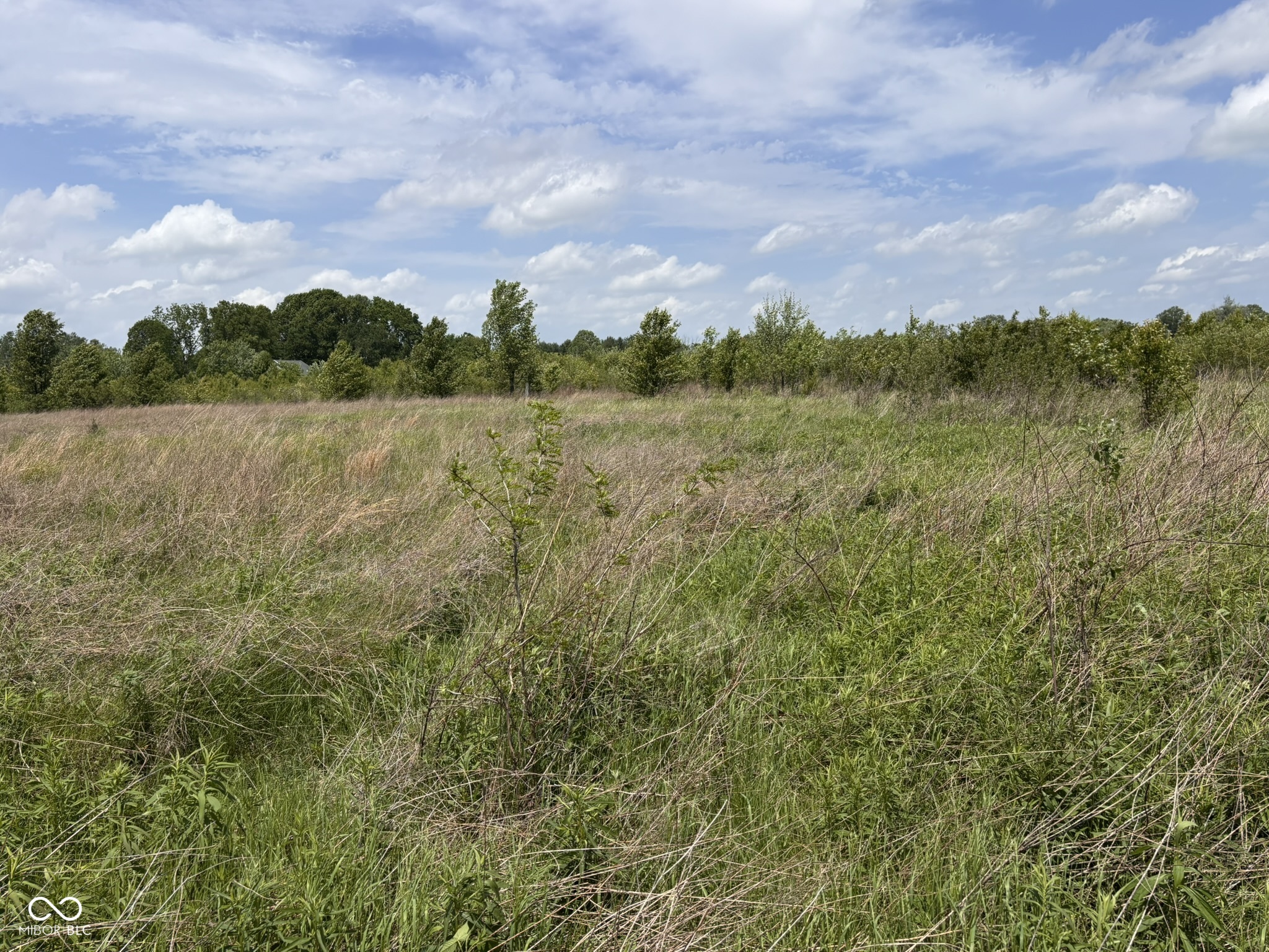 7145 Mann Road Indianapolis, IN 46221 - Photo 42 of 78