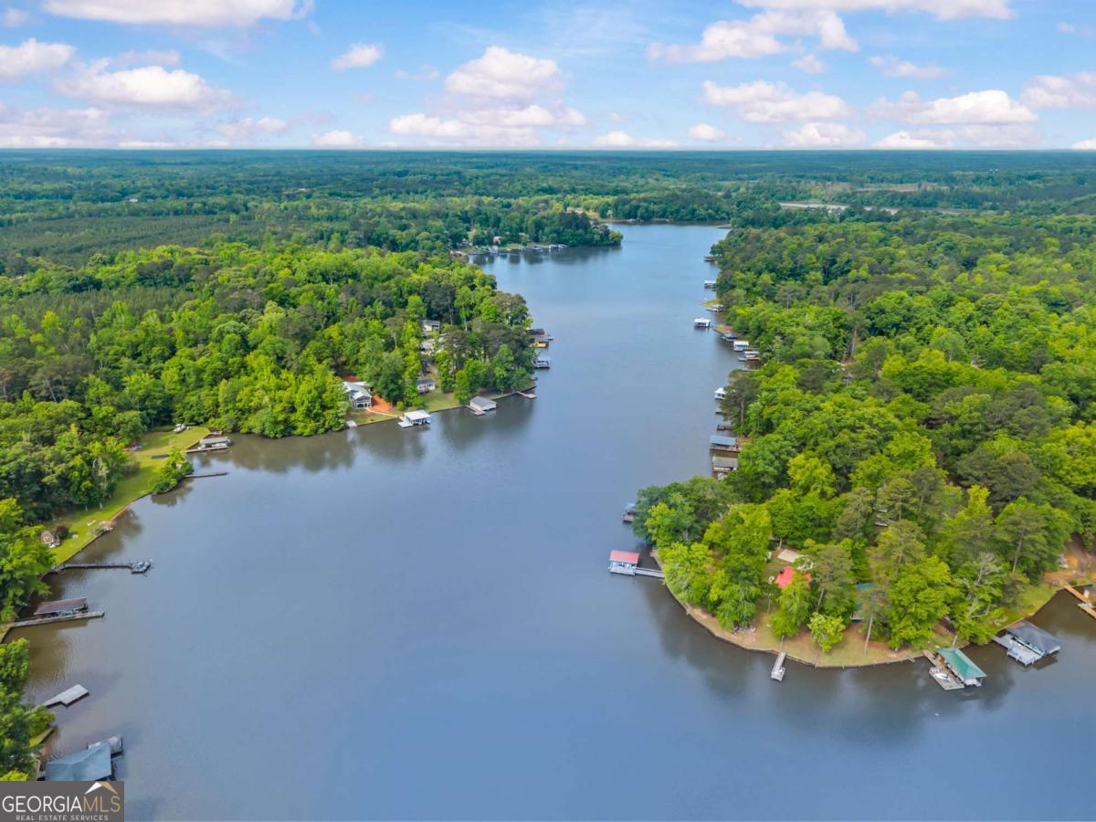 194 Phillips Road Eatonton, GA 31024 - Photo 48 of 57 a view of a lake with a yard