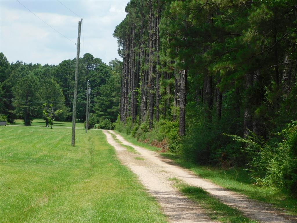 555 Thomasville Road Sarepta, LA 71071 - Photo 38 of 40