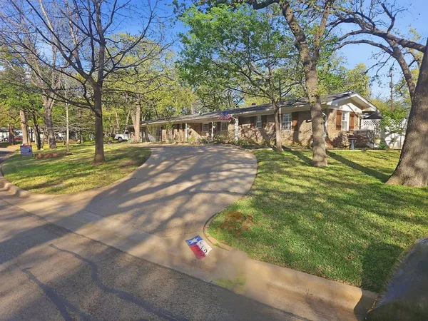 a view of a yard with plants and trees