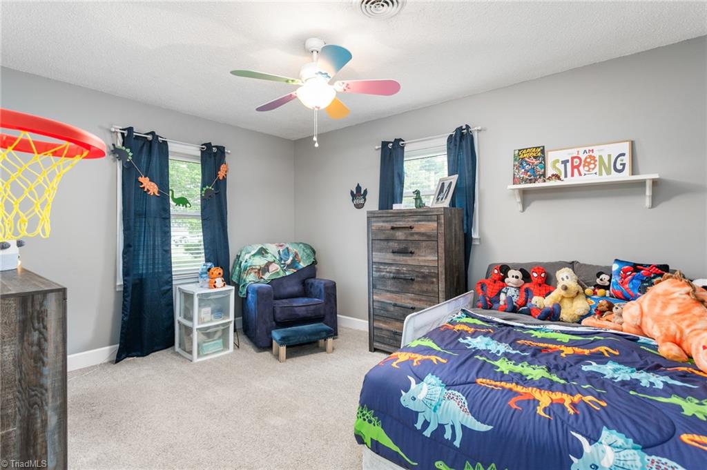 3810 Azalea Lane Trinity, NC 27370 - Photo 24 of 37