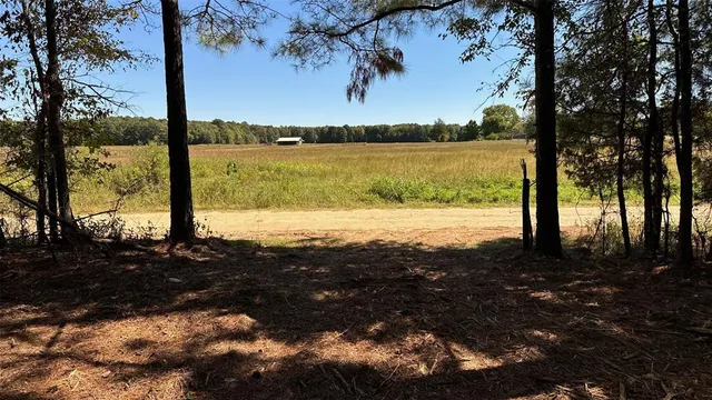 a view of lake view with large tree