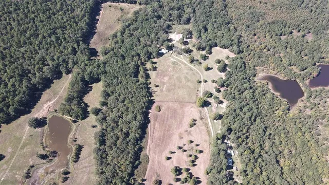 a view of a yard with wooden fence