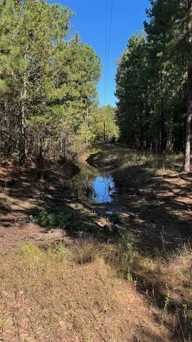 a view of small swimming pool