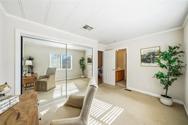 a view of a yard with potted plants