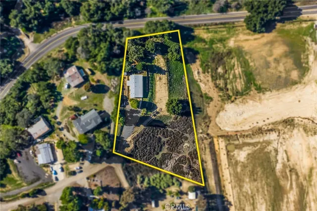 a view of a yard with plants and a large tree