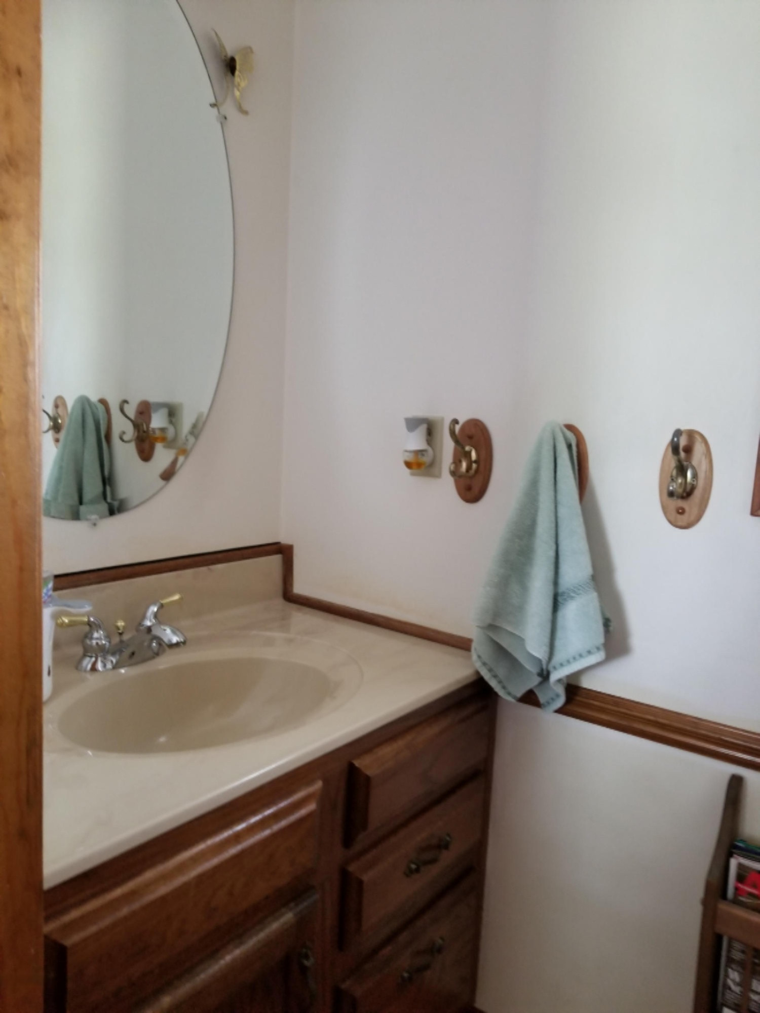 12725 Broadbent Road Lansing, MI 48917 - Photo 23 of 34 20180725_132550